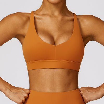 Aveline sculpt bra